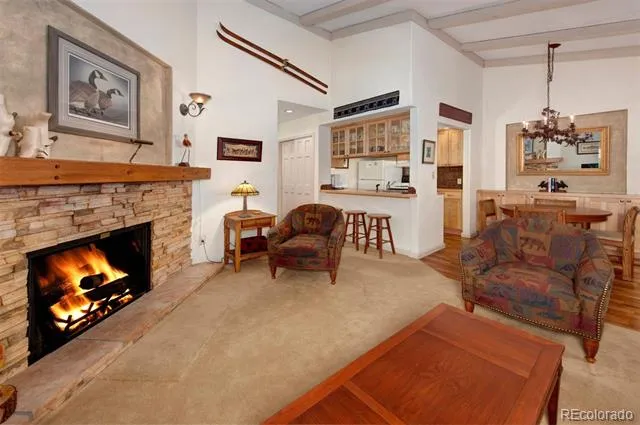 311 S High Street #209 Breckenridge, CO 80424