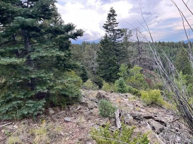 Lot 6184 Ryland Road San Luis, CO 81152