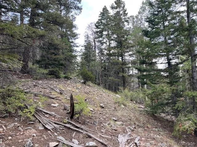 Lot 6184 Ryland Road San Luis, CO 81152