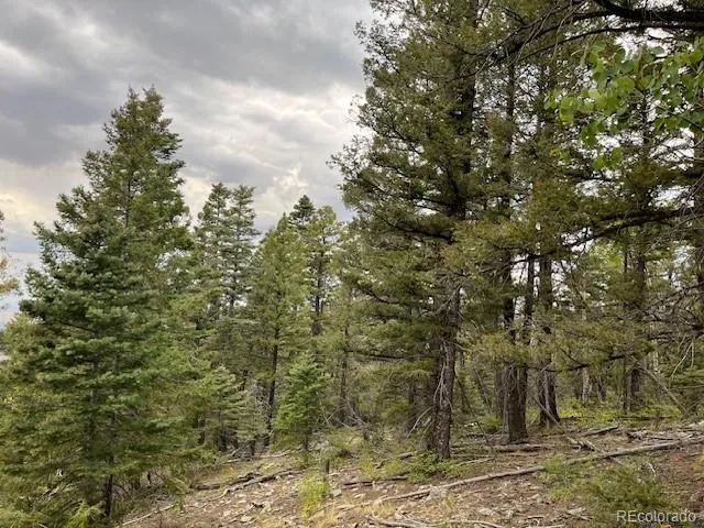 Lot 6184 Ryland Road San Luis, CO 81152