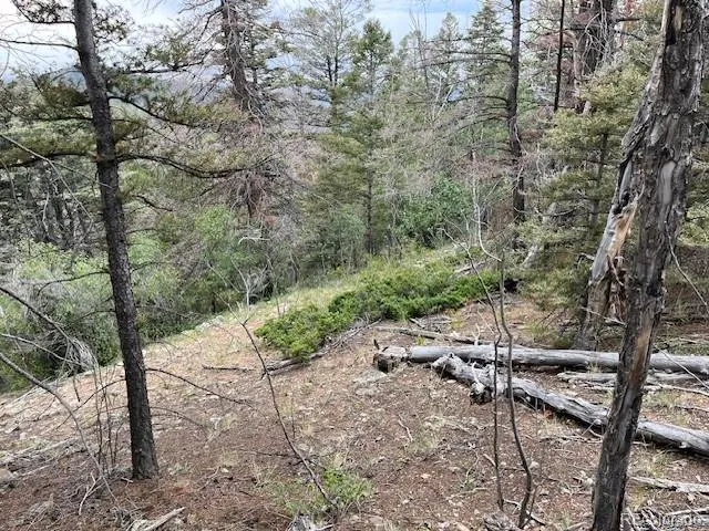 Lot 6184 Ryland Road San Luis, CO 81152