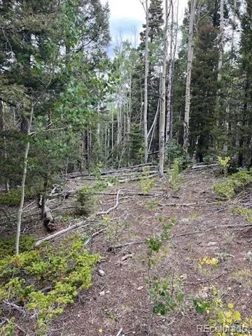 Lot 6184 Ryland Road San Luis, CO 81152