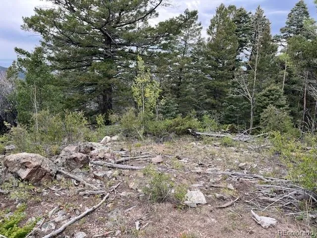 Lot 6184 Ryland Road San Luis, CO 81152