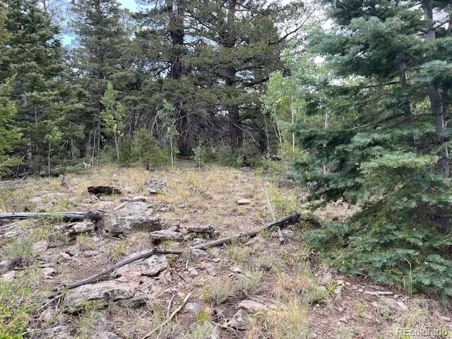 Lot 6184 Ryland Road San Luis, CO 81152