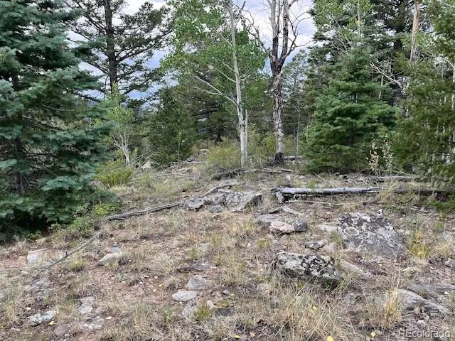 Lot 6184 Ryland Road San Luis, CO 81152