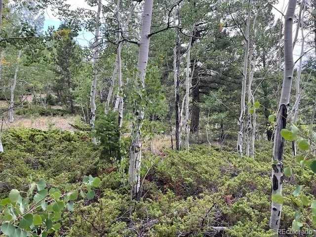 Lot 6184 Ryland Road San Luis, CO 81152