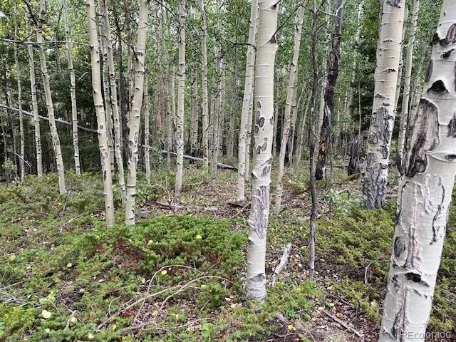 Lot 6184 Ryland Road San Luis, CO 81152
