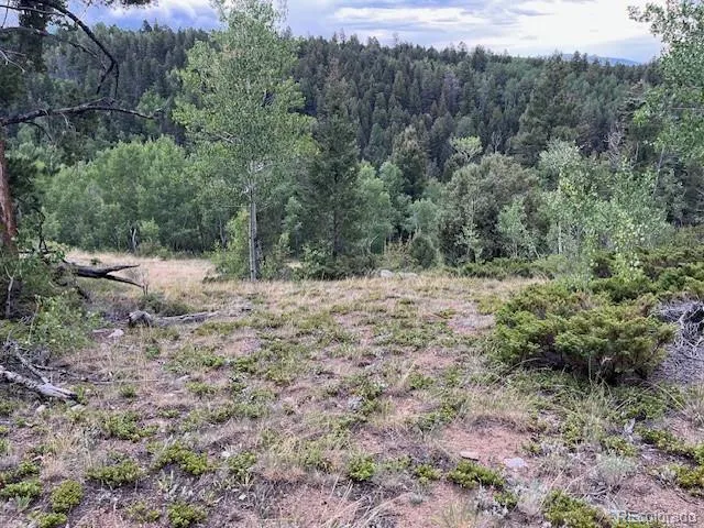 Lot 6184 Ryland Road San Luis, CO 81152