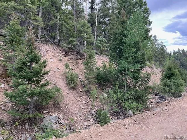 Lot 6184 Ryland Road San Luis, CO 81152