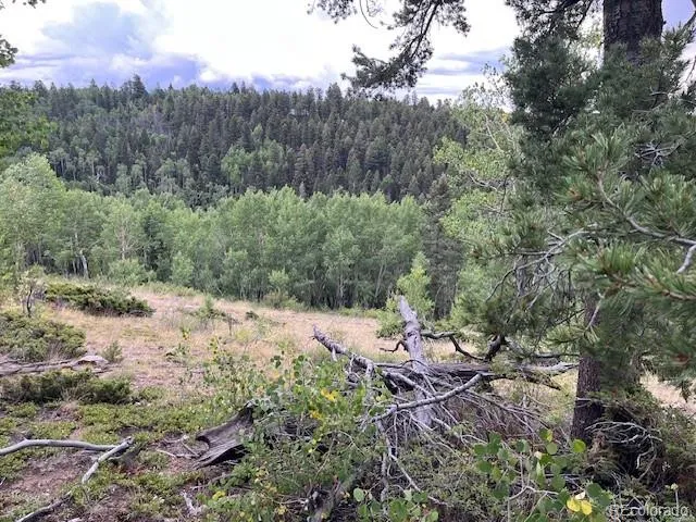 Lot 6184 Ryland Road San Luis, CO 81152