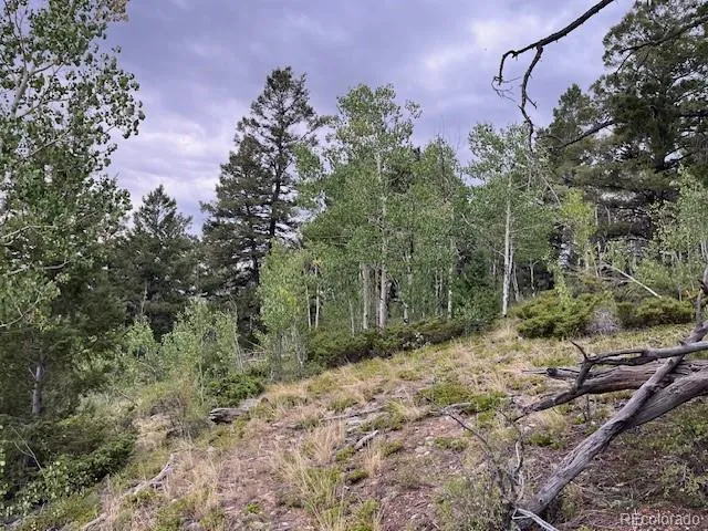 Lot 6184 Ryland Road San Luis, CO 81152