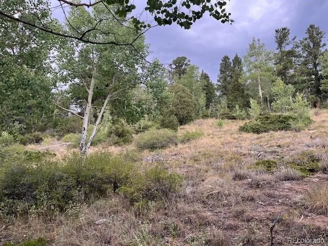 Lot 6184 Ryland Road San Luis, CO 81152