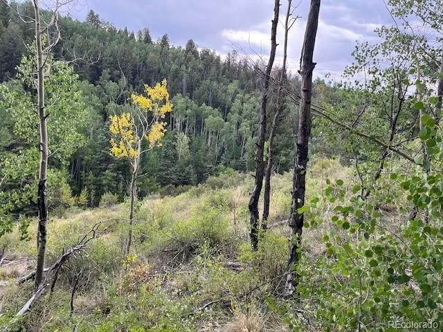 Lot 6184 Ryland Road San Luis, CO 81152