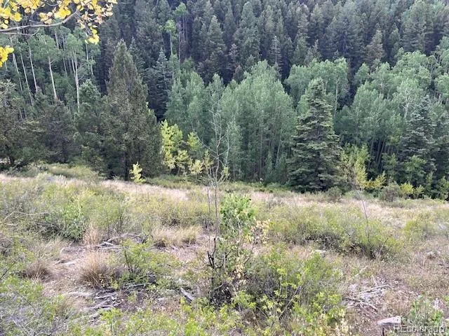 Lot 6184 Ryland Road San Luis, CO 81152