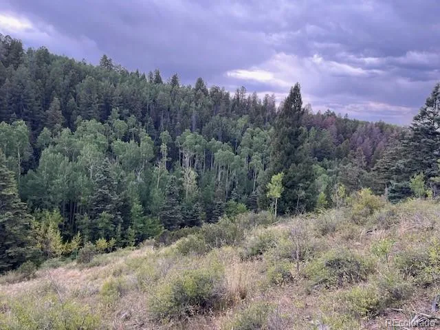 Lot 6184 Ryland Road San Luis, CO 81152