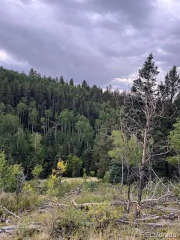 Lot 6184 Ryland Road San Luis, CO 81152