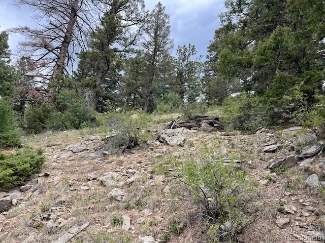 Lot 6184 Ryland Road San Luis, CO 81152