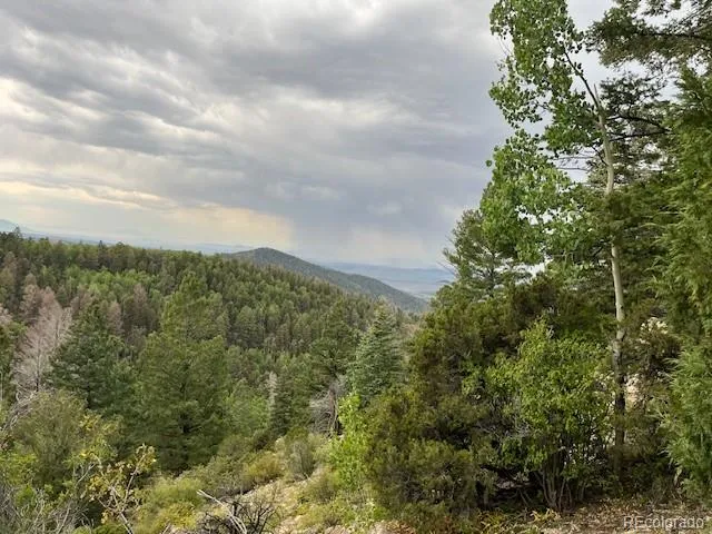 Lot 6184 Ryland Road San Luis, CO 81152