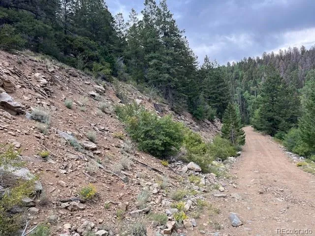 Lot 6184 Ryland Road San Luis, CO 81152