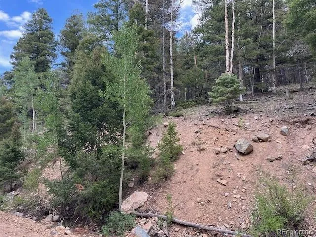 Lot 6184 Ryland Road San Luis, CO 81152