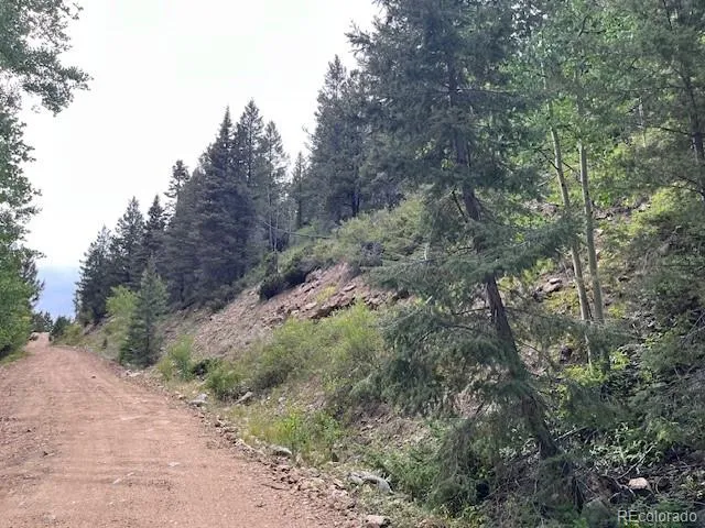 Lot 6184 Ryland Road San Luis, CO 81152