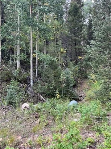 Lot 6184 Ryland Road San Luis, CO 81152