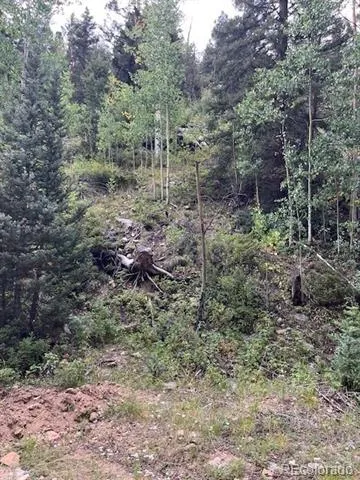 Lot 6184 Ryland Road San Luis, CO 81152