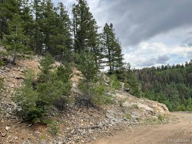Lot 6184 Ryland Road San Luis, CO 81152