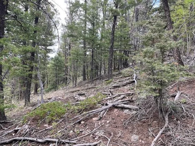 Lot 6184 Ryland Road San Luis, CO 81152