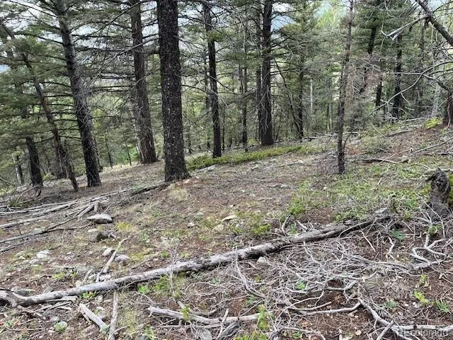 Lot 6184 Ryland Road San Luis, CO 81152