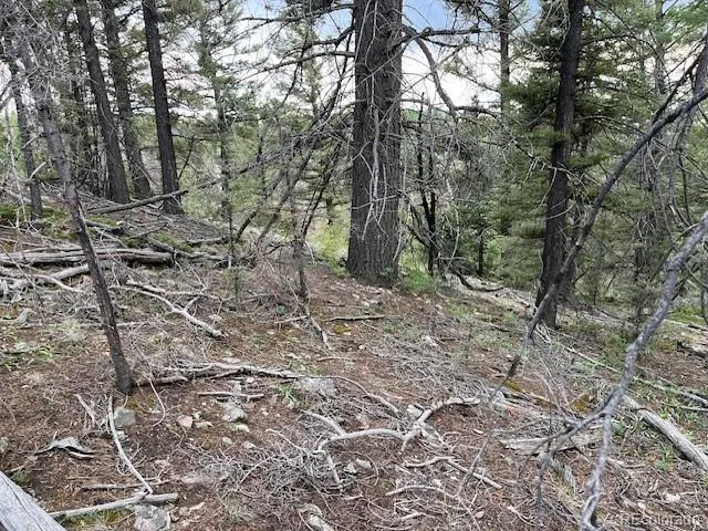 Lot 6184 Ryland Road San Luis, CO 81152