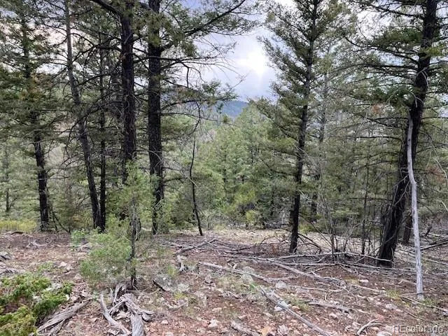 Lot 6184 Ryland Road San Luis, CO 81152