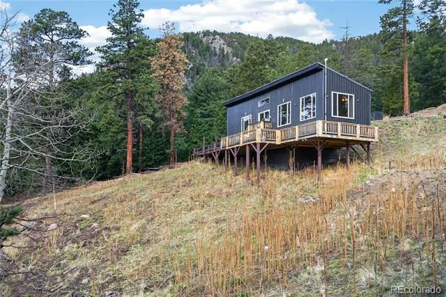 161 Highland Circle Rye, CO 81069