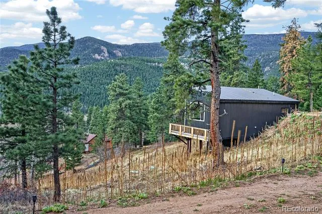 161 Highland Circle Rye, CO 81069