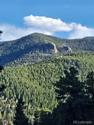 161 Highland Circle Rye, CO 81069