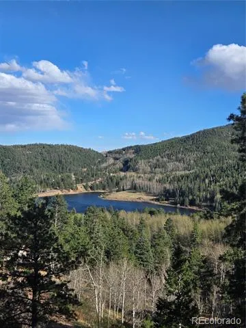 161 Highland Circle Rye, CO 81069