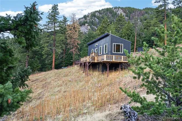 161 Highland Circle Rye, CO 81069