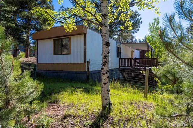 310 Blossom Road Woodland Park, CO 80863