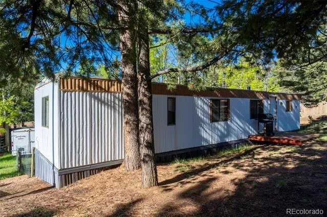 310 Blossom Road Woodland Park, CO 80863