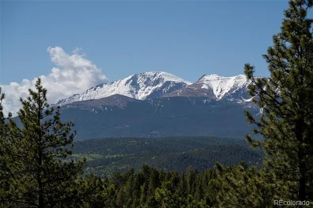 310 Blossom Road Woodland Park, CO 80863