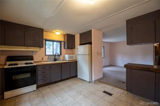 310 Blossom Road Woodland Park, CO 80863