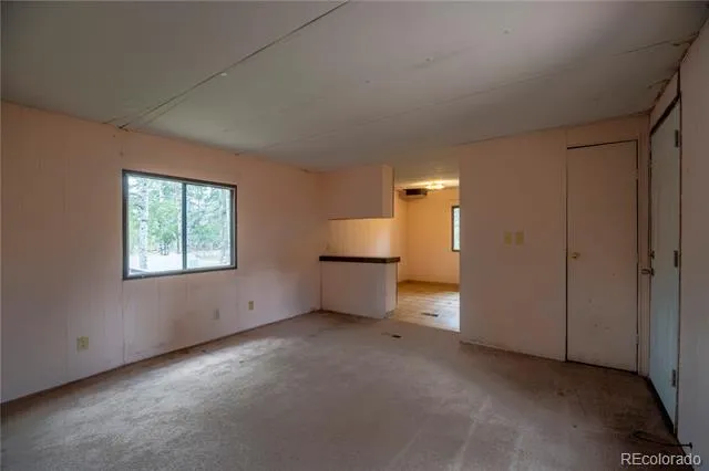310 Blossom Road Woodland Park, CO 80863