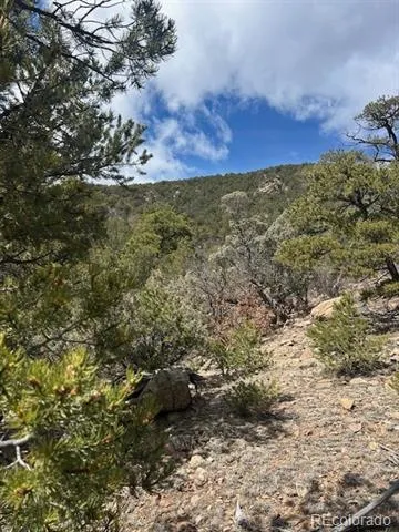 143 Ive Place Cotopaxi, CO 81223