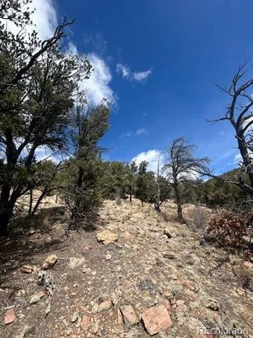 143 Ive Place Cotopaxi, CO 81223