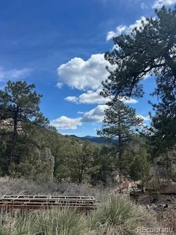 143 Ive Place Cotopaxi, CO 81223