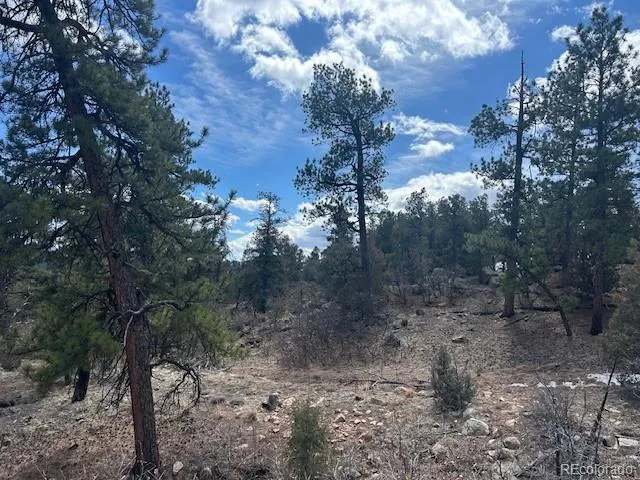 143 Ive Place Cotopaxi, CO 81223
