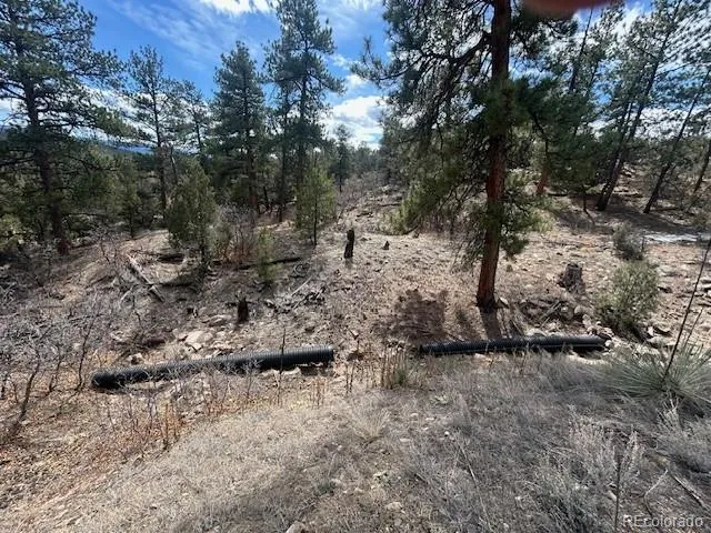 143 Ive Place Cotopaxi, CO 81223