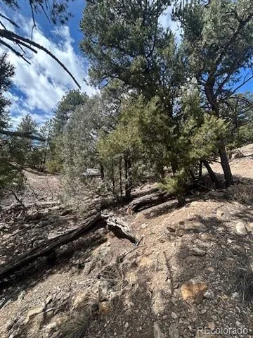 143 Ive Place Cotopaxi, CO 81223