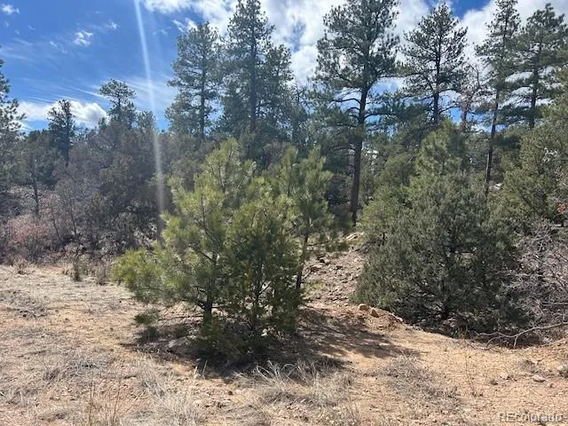 143 Ive Place Cotopaxi, CO 81223