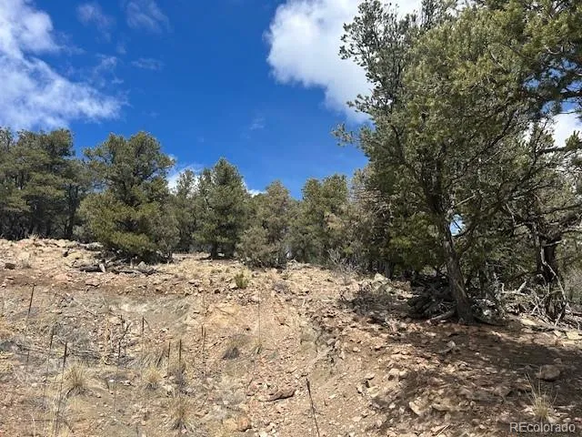 143 Ive Place Cotopaxi, CO 81223